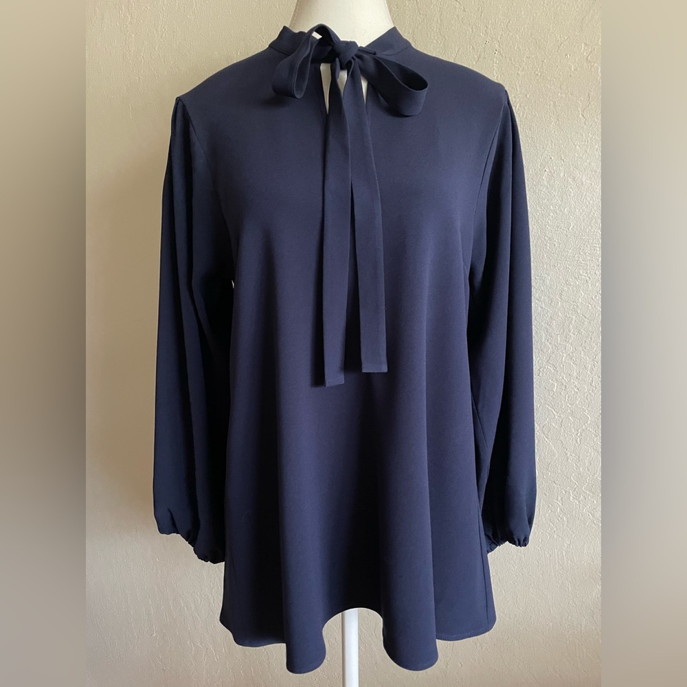 Navy Tie-Neck Long-Sleeve Blouse